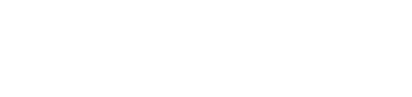 FC 25